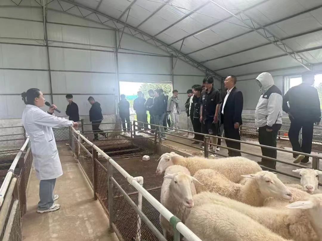 微信图片_20240624215846.jpg