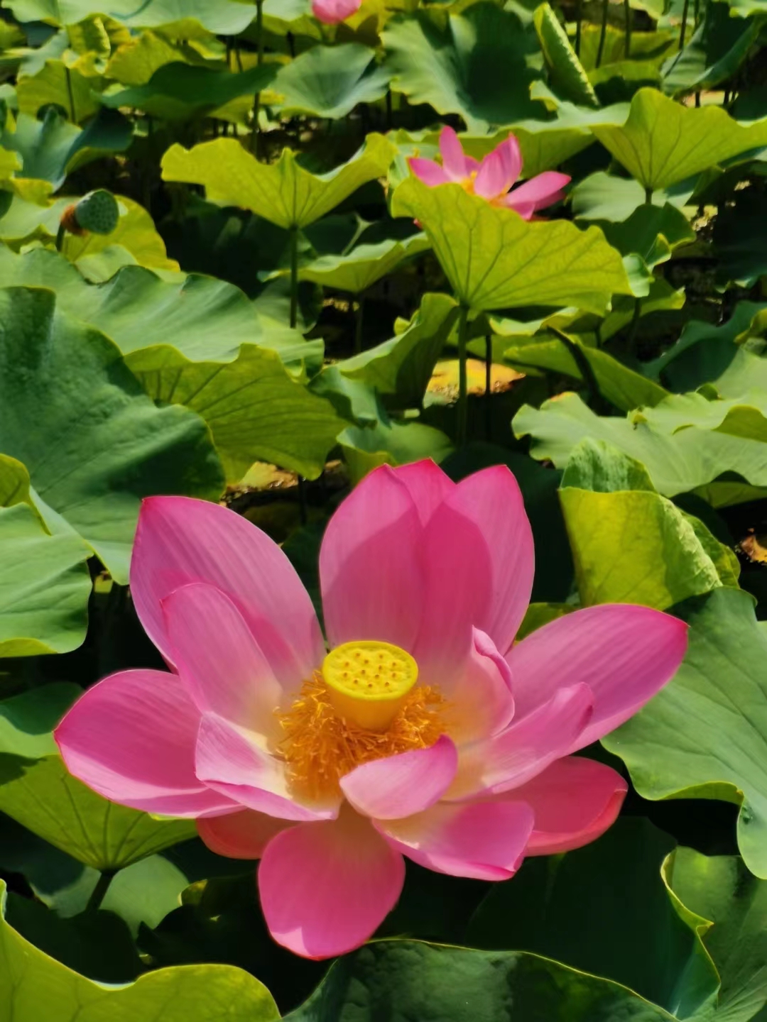 微信图片_20240615230905.jpg 微信图片_20240615230905.jpg