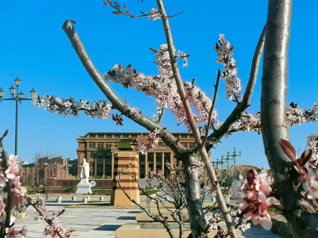 微信图片_20240615231013.jpg 微信图片_20240615231013.jpg