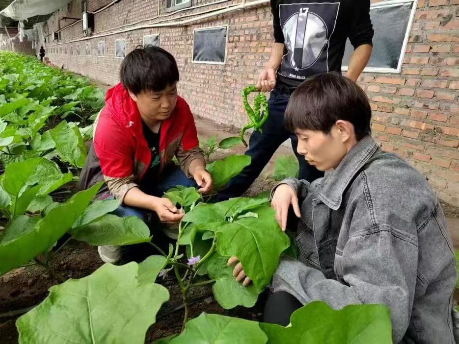 微信图片_20240829210100.jpg