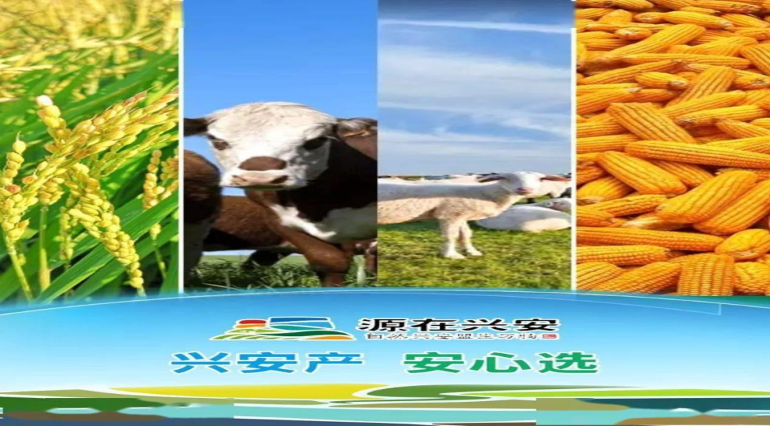 微信图片_20240918165215.png