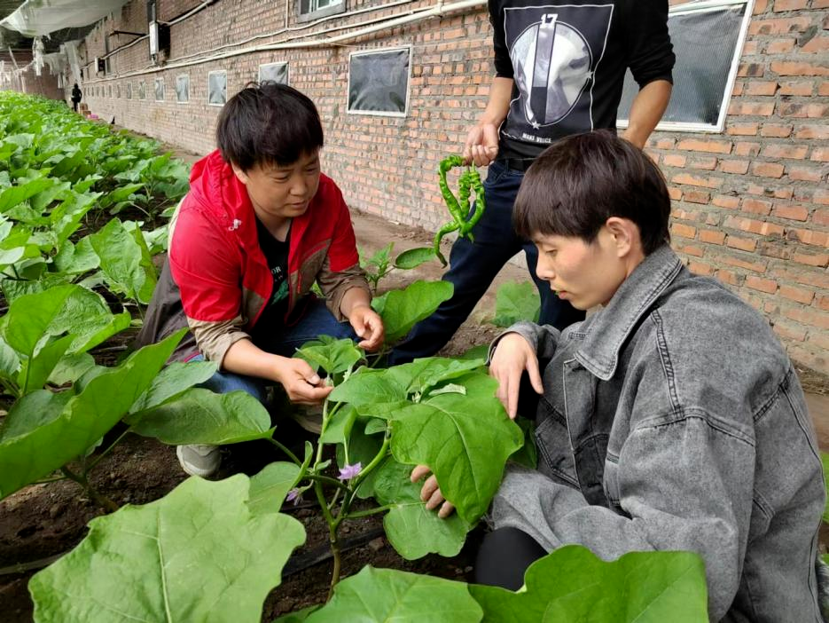 微信图片_20240918164707.png